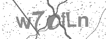 visual captcha